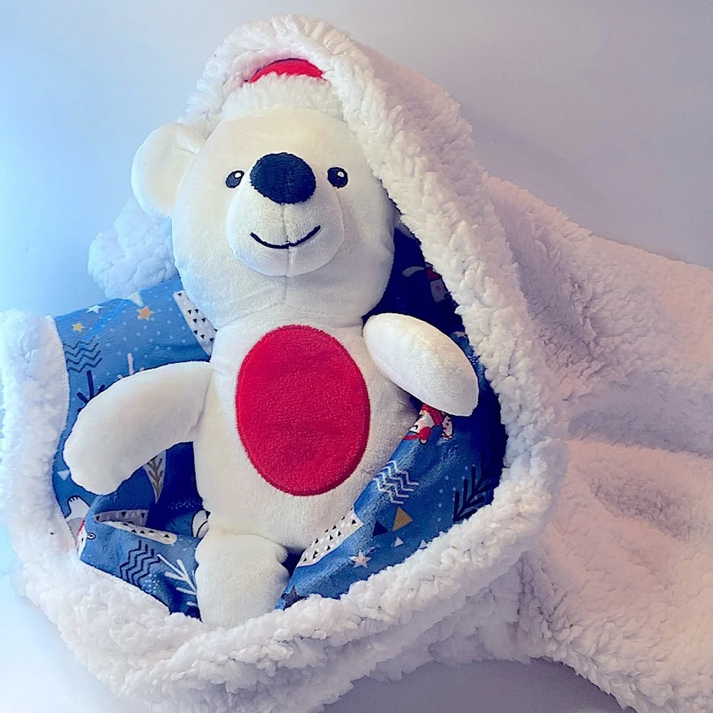 NEW HAPPY HOWLIDAYS PET BLANKET AND TOY